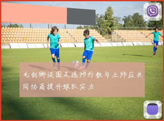 毛剑卿谈国足选帅外教与土帅应共同协商提升球队实力